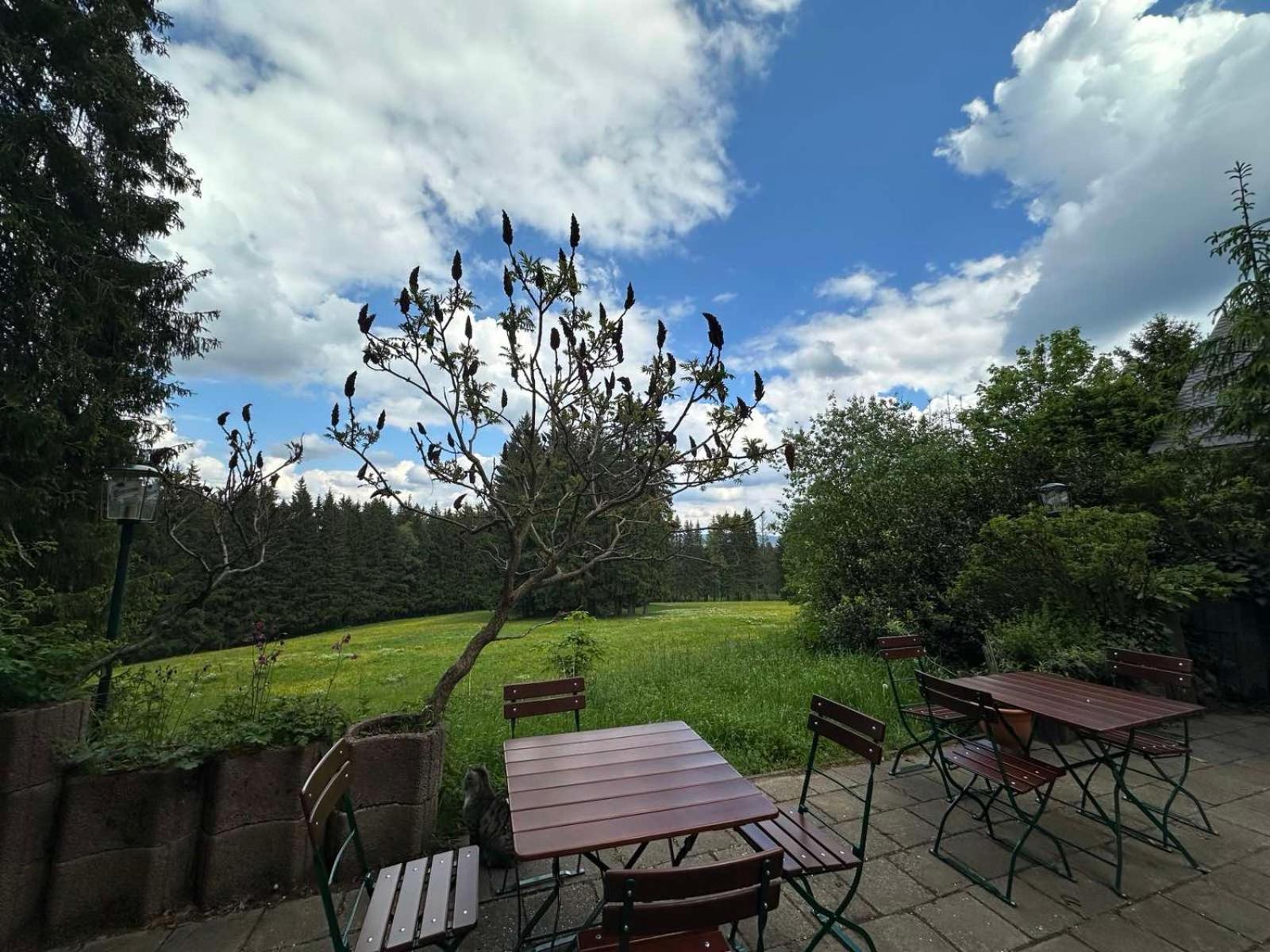 Waldhotel Zoebischhaus Bad Reiboldsgrün Exterior foto