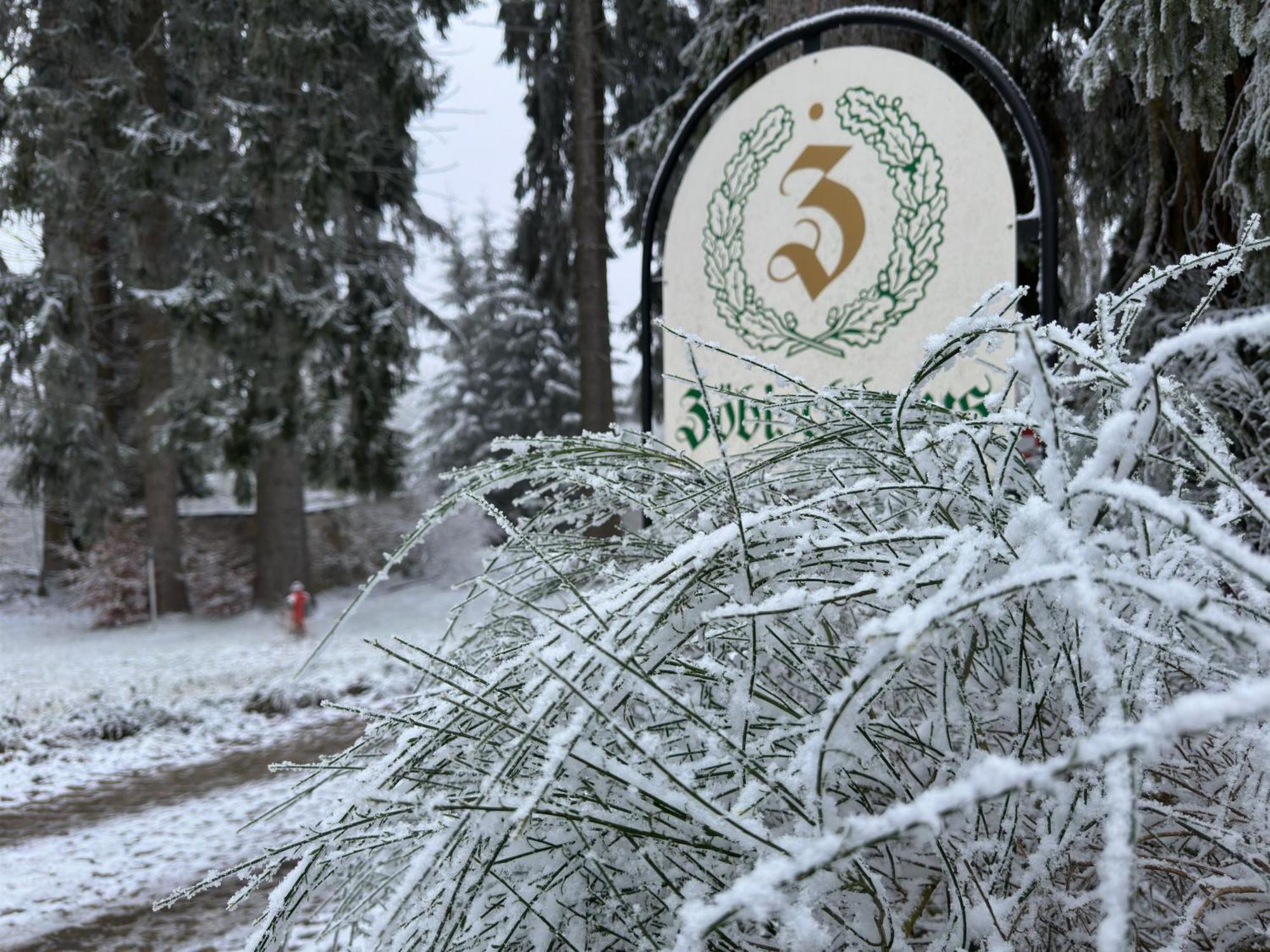 Waldhotel Zoebischhaus Bad Reiboldsgrün Exterior foto