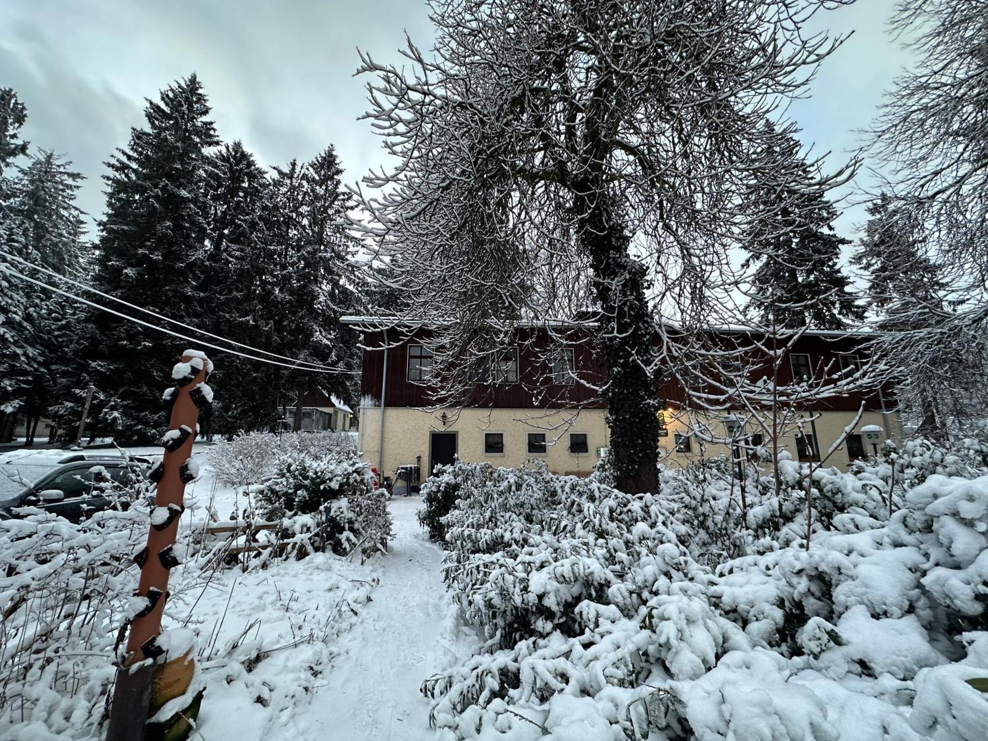 Waldhotel Zoebischhaus Bad Reiboldsgrün Exterior foto