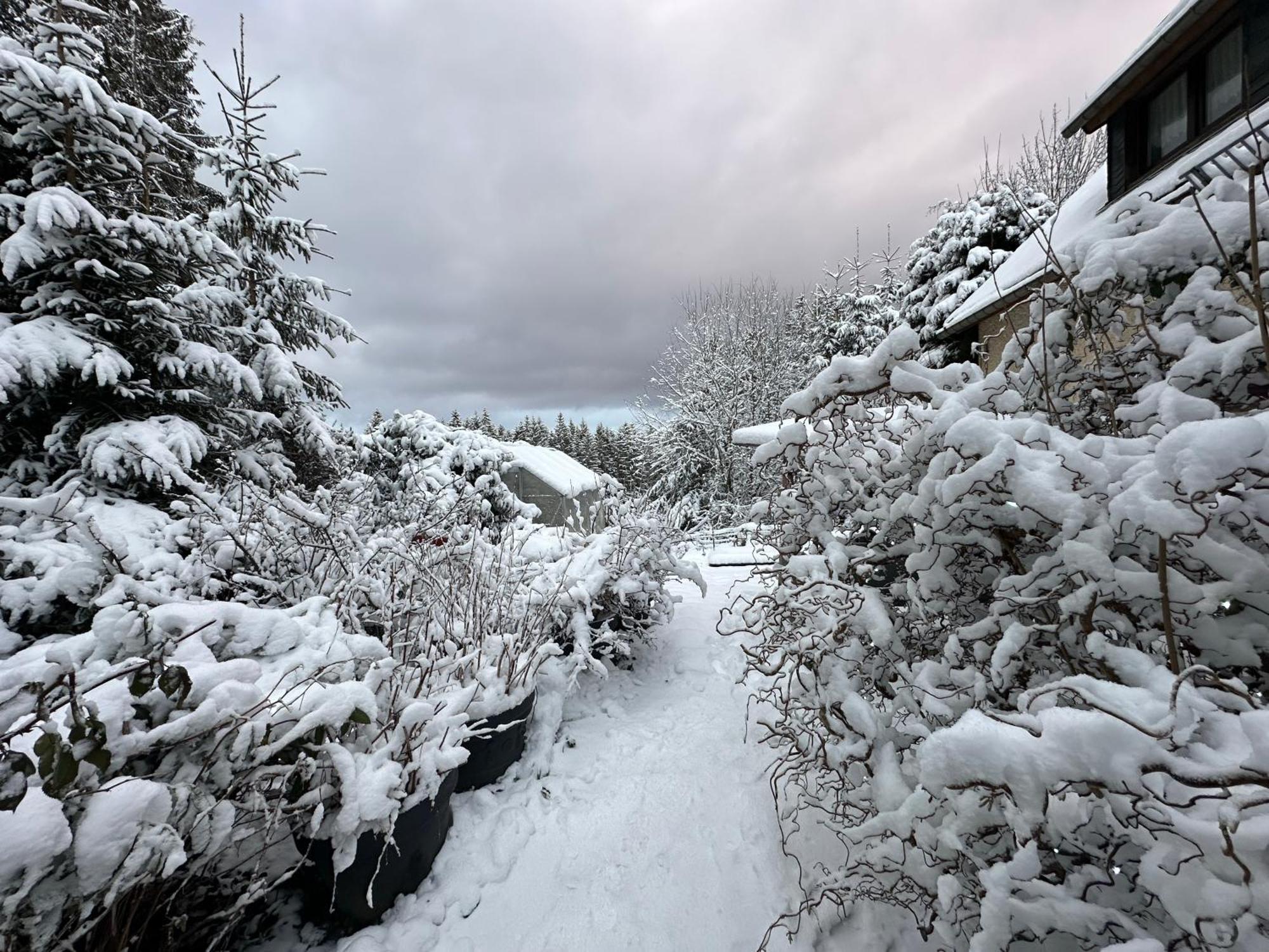 Waldhotel Zoebischhaus Bad Reiboldsgrün Exterior foto