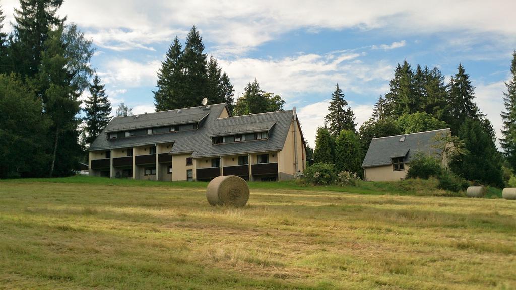Waldhotel Zoebischhaus Bad Reiboldsgrün Exterior foto