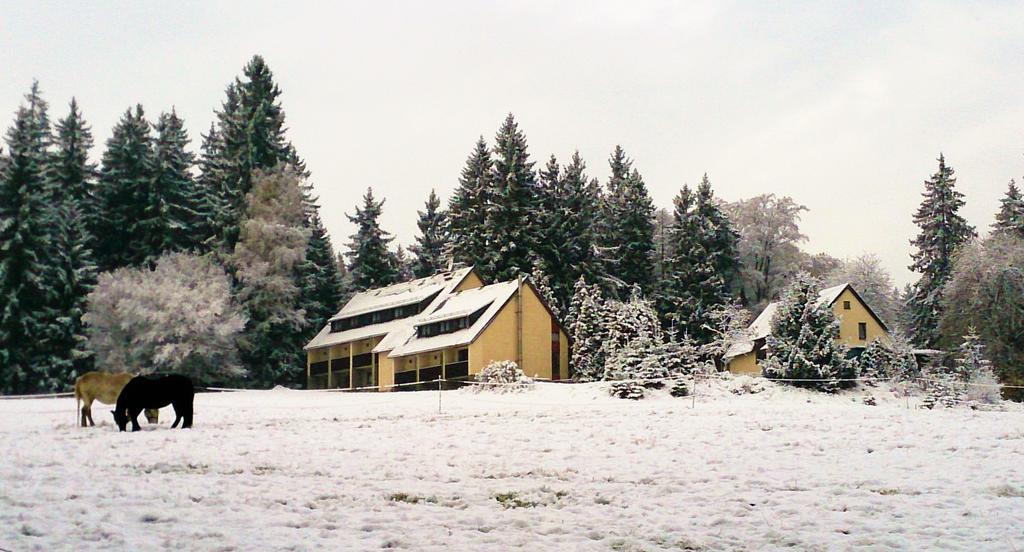 Waldhotel Zoebischhaus Bad Reiboldsgrün Exterior foto