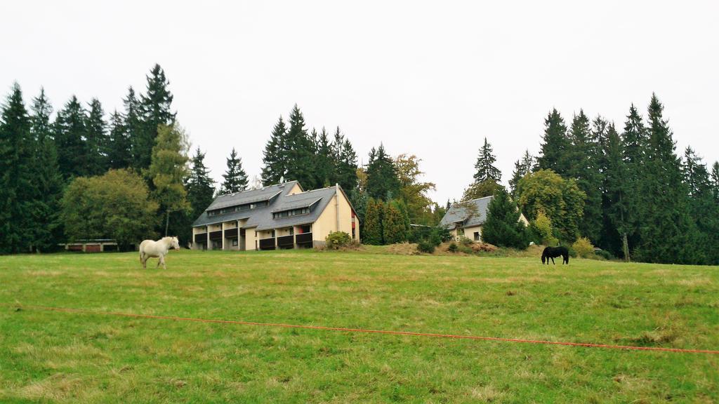 Waldhotel Zoebischhaus Bad Reiboldsgrün Exterior foto